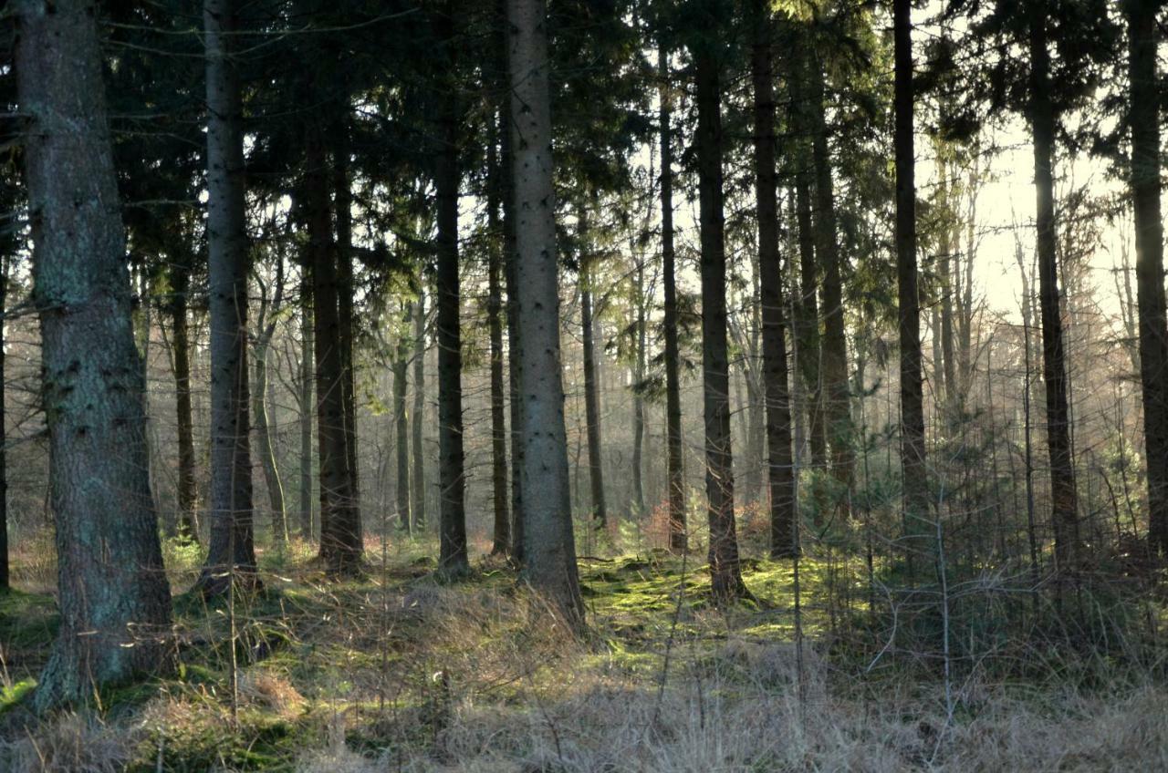 De Blokhut Villa Koekangerveld Luaran gambar